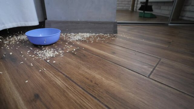 A plate of food falls onto a tiled kitchen floor. Oatmeal spills onto the floor in slow motion. Trash falls onto the floor.