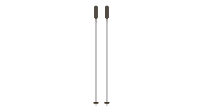 Sleek modern ski poles perfect for winter adventures stylish and functional design