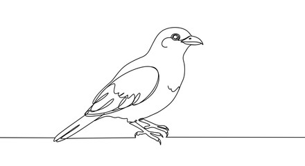 Fototapeta premium Line art of a bird on white background