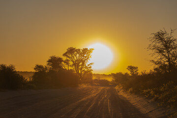 Kgalagadi sunset