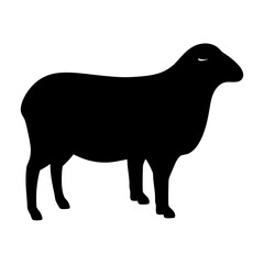 sheep animal black silhouette icon - designs for jungle animals sheep Safaris, wildlife, rainforest, vector on a white transparent.