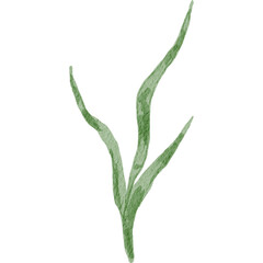 Fototapeta premium Three Branch Leaves Watercolor