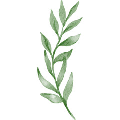Obraz premium Single Branch of Leaves Watercolor