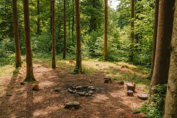 Extinguished coals in a forest fireplace.