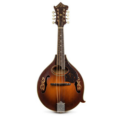 Fototapeta premium acoustic guitar isolated