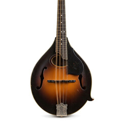 Obraz premium acoustic guitar isolated