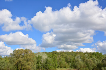 A beautiful view of the sky with clouds above a forest