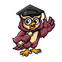 Graduation Owl Mascot Cartoon Design