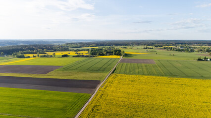 Obraz premium Aerial View of Rapeseed Fields Landscape