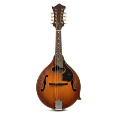 Fototapeta premium acoustic guitar isolated