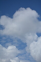 Obraz premium Fluffy, figured white clouds in the blue sky