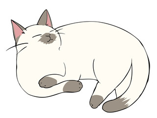 ポインテッド ひじおき