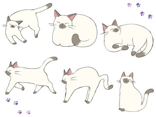 ポインテッド まとめ