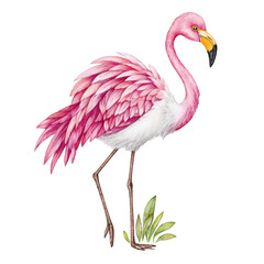 Obraz premium A watercolor flamingo with pink plumage stands gracefully in the grass.