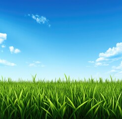 Lush green grass field under a vibrant blue sky, dotted with fluffy white clouds