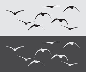 colletion of flying geese silhouette vector illustration art