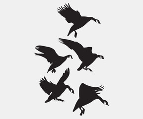 colletion of flying geese silhouette vector illustration art