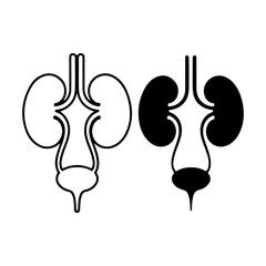 Urinary System Vector Icon Anatomical Silhouette in Black on White.