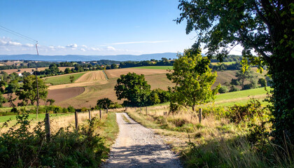 Fototapeta premium Tranquil Countryside Path Through Cultivated Fields, Lush Trees, and Rolling Hill Under Clear Midday Sky
