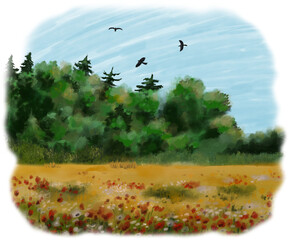 Blooming Meadow and Forest Under Open Sky