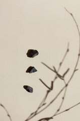 Abstract aesthetic minimalist beige background template with small black stones , dry branches plant , sunlight shadow . copy space.Branding, product presentation, card mockup. Neutral earth colors. 