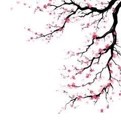  tree branch sakura pink flowers, summer spring isolated on transparent background