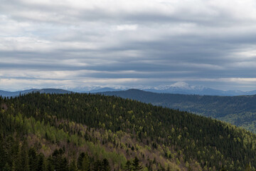 low gray clouds over forested mountains