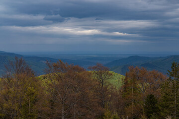 trees against the backdrop of distant mountains and dark clouds