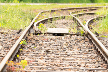 Closeup of rails shortly before a switch. Rails are partly overgrown.