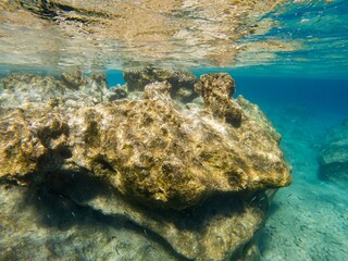 Underwater photo from The Mediterranean Sea at Apella on the eastern part of the island of Karpathos, Greece.