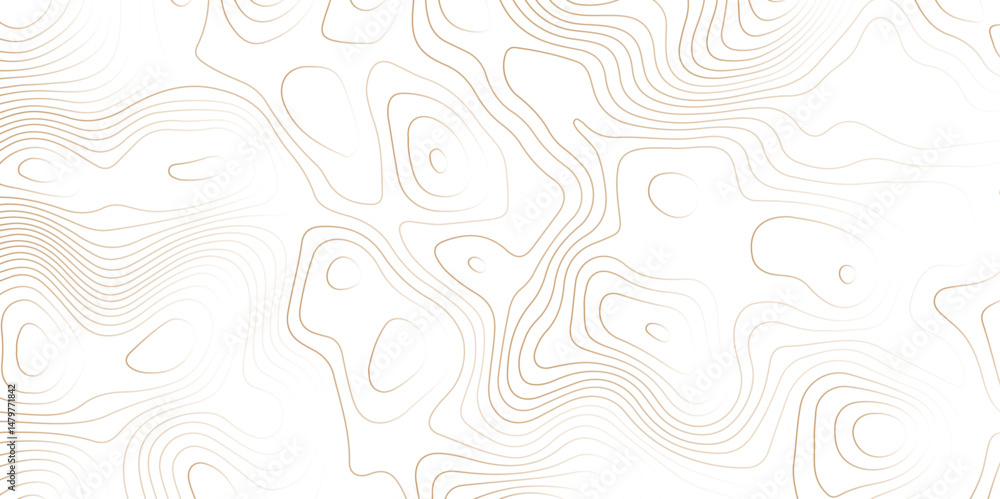 Poster geographic world topography map grid abstract. topo map with elevation. contour map. abstract topogr