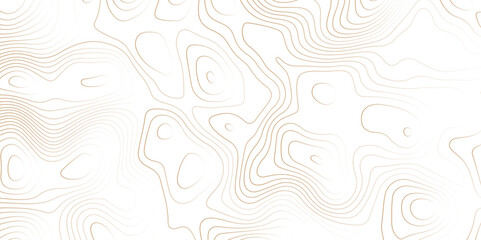 Geographic World Topography map grid abstract. Topo map with elevation. Contour map. Abstract topographic contour map on white background concept.