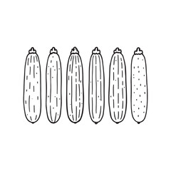 Simple Line Art Drawing of Fresh Cucumbers in a Garden