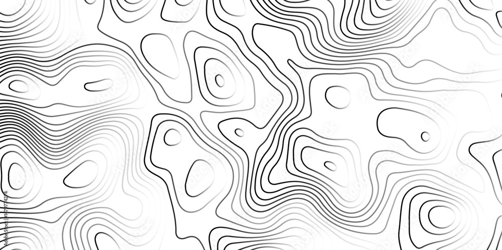 Fototapete black and white topography contour lines map isolated on white background.pattern with lines and dot