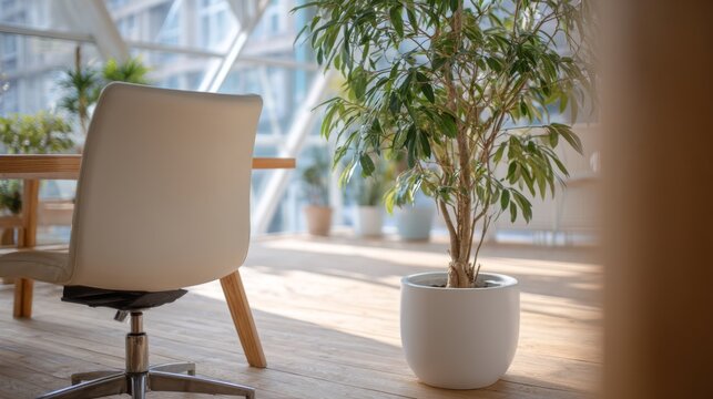 Minimalist office corner with ergonomic chair and plant, conveying modern simplicity and calm productivity.
