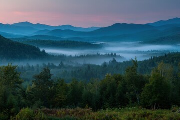 Misty mountain landscape at dawn with fog rolling through trees, tranquil nature scene