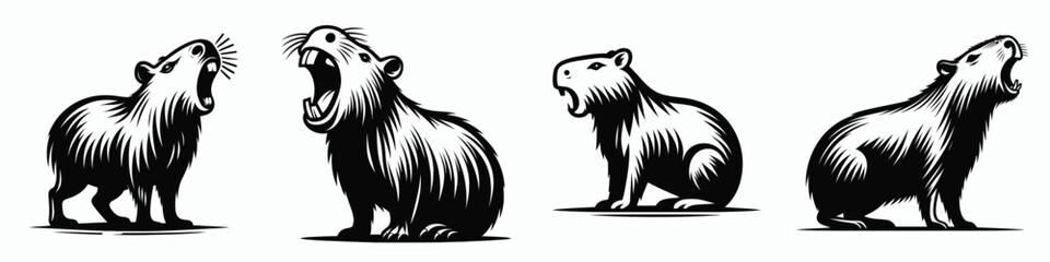 capybara. Roar Fierce Aggressive Strong Open Mouth Strength Clipart silhouette Vector Illustration. Largest rodent akin to a guinea pig delightful docile herbivore mammal.