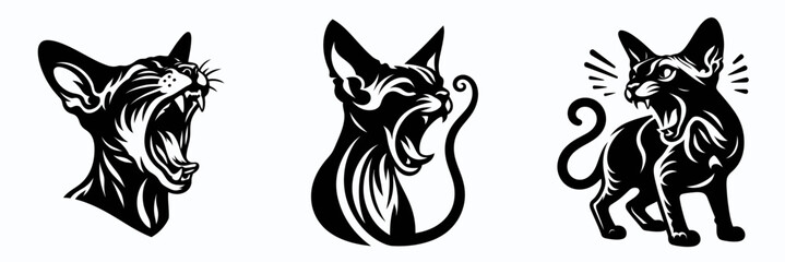 Obraz premium Devon Rex Cat. Roar Fierce Aggressive Strong Open Mouth Strength Clipart silhouette Vector Illustration. Unique pixie breed a wavy coated feline for loving companion and family pet.