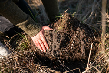 mature female farmer in a farming family. regenerative organic female farmer, taking soil samples and looking at plant growth in a farm. practicing agriculture