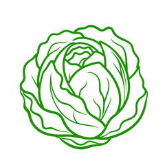 Sketch Illustration Of Vegetable