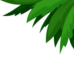 Fototapeta premium Green tropical leaves on white background with copy space for nature themed decoration