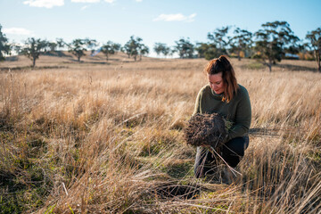 farmer collecting soil samples in a test tube in a field. Agronomist checking soil carbon and plant...