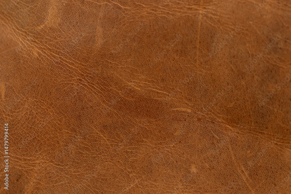 Poster High-resolution image of brown leather texture. Perfect for backgrounds and design projects.