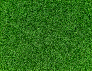 Fototapeta premium Grass pattern. Fresh spring green grass, green grass texture top wiev. Green grass texture background. 