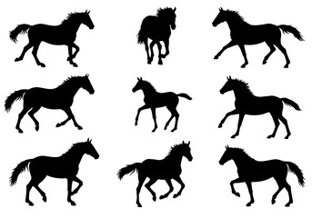 Obraz premium Elegant Horse Silhouettes: A Dynamic Collection