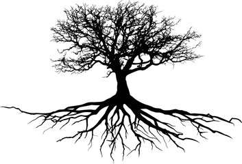Silhouette of a bare tree with roots spreading wide. Vector illustration