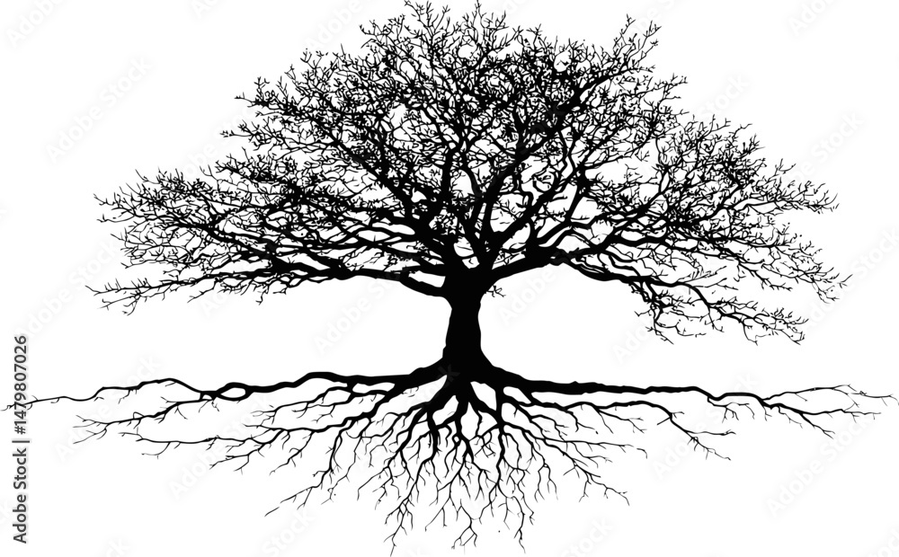 Poster silhouette of a large tree with sprawling branches and roots. vector illustration
