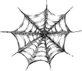 Intricate black and white sketch of a detailed spider web design. Vector illustration