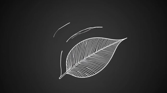 Minimalist leaf outline on a dark background in black and white art