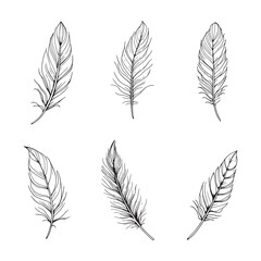 Single feather line art perfect for tattoo designs